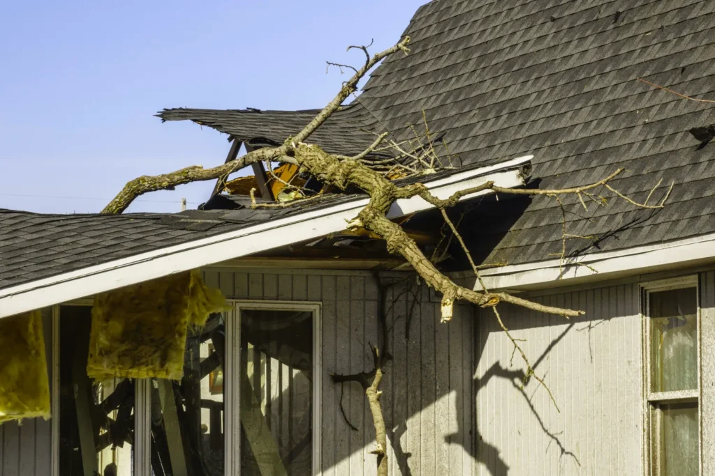 Tree falling on a roof during winter storm in Portland, WA