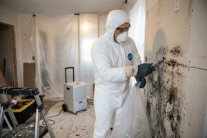 Mold Removal Process: Inspection to Restoration